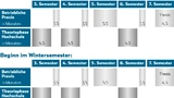 Der Ablauf des Bachelorprogramms STUP. 