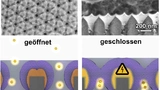 So funktioniert das elektrisch steuerbare Nanoventil, das künftig chemische Synthesen oder auch diagnostische Methoden auf dem Chip vereinfachen könnte.