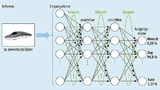  Ist das neuronale Netz trainiert, dann sind die Parameter konstant. Für die Inferenz, die Anwendungsphase des neuronalen Netzes ist wesentlich weniger Rechenleistung erforderlich