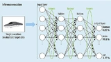 Once the neural network has been trained, the parameters are constant. For the inference, the application phase of the neural network, considerably less computing power is required