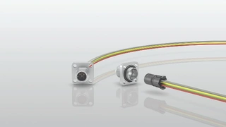Vierkantflansch-Stecker in A-Kodierung von binder