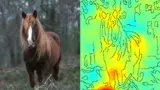 Die Heatmap neben dem Foto ist das Ergebnis der LRP-Technik und zeigt an, welche Bildpunkte wesentlich zu der Entscheidung des Algorithmus beigetragen haben. Rote Pixel stehen dabei für wichtige Bildpunkte.