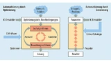 Vergleich Optimierer (links) und Generator (rechts). Der Generator sucht nicht per Iteration ein Optimum zu finden, sondern arbeitet eine bekannte und bewährte Lösungsstrategie ab