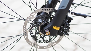 Auch an der doppelten Bremsscheibe ist das ABS am E-Bike erkennbar.