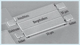 MEMS-Oszillator unter dem Mikroskop.