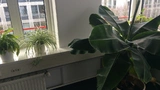 Bewässerungssystem