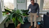Bewässerungssystem