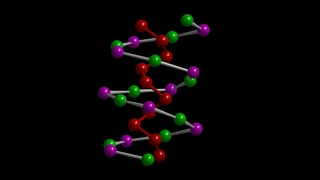Eine Kette aus Zinn- und Iod-Atomen bildet die eine, die Phosphoratome die andere Kette der Doppelhelix von SnIP. 