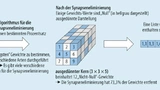 Anwendung von Pruning (Synapseneliminierung) zur Ausdünnung der Gewichte eines dreidimensionalen Filters.