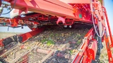 Bild 2. Kartoffel-Transportsiebe von Vollerntemaschinen sind stark verschleißgefährdet.