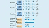 VCSEL-Matrix-Test mit mehreren SMUs und DMMs, die über TSP-Link kommunizieren.