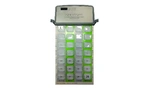 Renesas