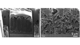 UC San Diego, Chengcheng Fang, Lithium Metal Batteries