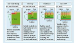 Vertikale Struktur der Zell-Geometrie für Non-Punch-Through-, Trenchstop-, Micropattern-Trench- und EDT2-IGBT (von links nach rechts)