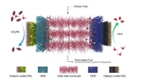 Rice University, Haotian Wang, Electrolyzer, Formic Acid, Fuel Cell, Carbon Dioxide, Greenhouse Gas