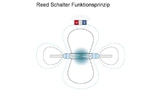Bild 3. Ein Reed-Schalter besteht aus zwei ferromagnetischen Schaltzungen, die hermetisch dicht verschlossen in ein Glasröhrchen eingeschmolzen werden. Die beiden Schaltzungen überlappen. Wirkt ein entsprechendes Magnetfeld auf den Schalter, bewegen 