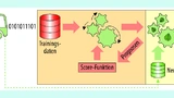 Batch-Learning