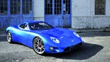 Toroidion