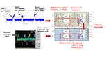 Frequenzumsetzung und Frequenzsprünge mit den Transceiver-ICs AFE7444 und AFE7422.
