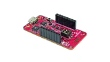 Microchip