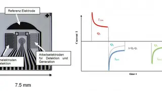 Bild 1. Neu entwickelter Sensorchip zur in-situ Gelöstsauerstoffmessung und zur therapeutischen Sauerstoffproduktion (links). Ablauf einer in-situ Rekalibrierung: Zwei Detektionszyklen folgen einem Generationszyklus (rechts).