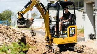 Cat 301.7