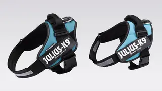 Links Original: JULIUS-K9 Zrt., Szigetszentmiklós, Ungarn Rechts Fälschung: Shenzhen Dog Favors Pet Supplies Co., Ltd., VR China Der Fälscher kopiert 1:1 das Produkt sowie die Marke „JULIUS-K9“. Die minderwertigen Materialien und Reflektoren wirken s