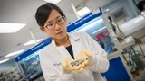 University of California San Diego, Lithium Metal Batteries, An Huang