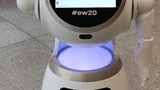 Freundliche Begrüßung am Eingang der Embedded World 2020.