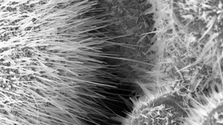 AG Funktionale Nanomaterialien