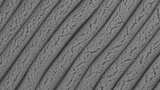 Duke University, Michigan State University, Stretchable Supercapacitor