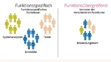 Funktionsspezifische und funktionsübergreifende Teams