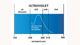 Die meisten UVC LEDs haben ihr Maximum bei 270 nm - 286 nm mit einer Bandbreite von 10 nm