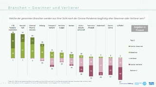 Bild 1. Die Krisengewinner und -verlierer unter den Branchen.