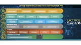 Gliederung des Senty-Software-Stacks zum Schutz von FPGAs.
