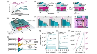 University of Surrey, Multimodal Transistor, MMT, Radu Sporea, Eva Bestelink