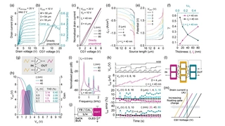University of Surrey, Multimodal Transistor, MMT, Radu Sporea, Eva Bestelink