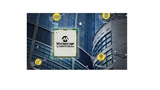 Microchip