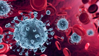 Der Corona-Virus in detaillierter Darstellung.
