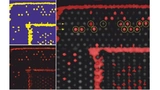 Fraunhofer IMWS, iREL4.0, Reliability