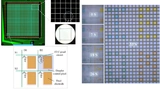 Großflächige Aktiv-Matrix-Mikrofluidik-Plattform: Bild, Layout und Pixel-Schaltplan der Aktivmatrix Electrowetting-on-Dielectric (AM-EWOD) Einheit (links) und digitale Tröpfchen bilden 'IEDM' auf der AM-EWOD-Einheit (rechts).