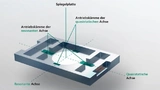 Fraunhofer IPMS Mikroscannerspiegel