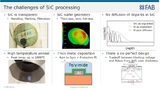 X-Fab, Agnes Jahnke, Silicon Carbide, Gallium Nitride, Siliconcarbide, Galliumnitride