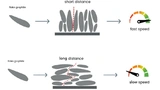 Battrion, Lithium-Ion Batteries, Aligned Graphite