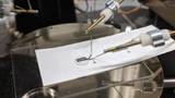 Duke University, Printed Electronics, Biosensor