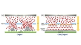 Lithium Metal Batteries, Universität Jena