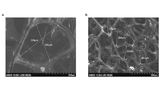 Thermal Switching, Compressible Graphene Composite Foam, Purdue