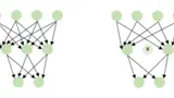 Pruning