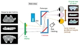 Eine Rendering-Software stellt auf dem Display das Objekt in passender Perspektive dar, sodass ein realistischer Bewegungsparallaxe-Effekt entsteht