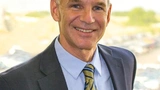 Stein David